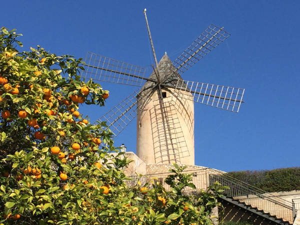 Windmühle