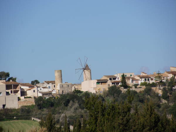 Montuïri